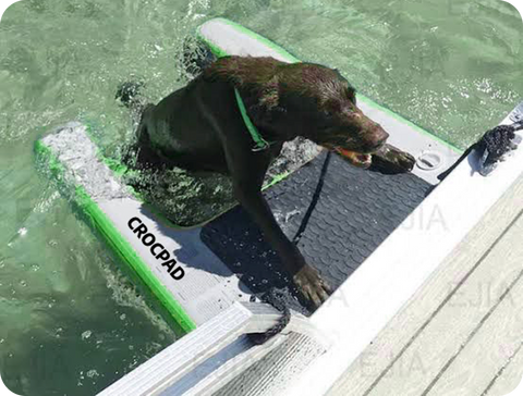 CROCPAD INFLATABLE DOG RAMPS FOR YACHTS, BOATS, POOLS AND DOCKS