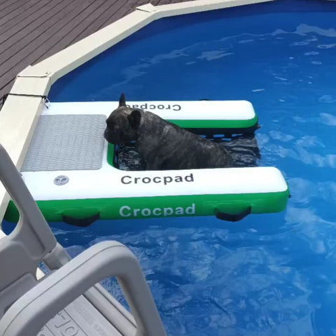 CROCPAD INFLATABLE DOG RAMP FOR BOATS, POOLS AND DOCKS