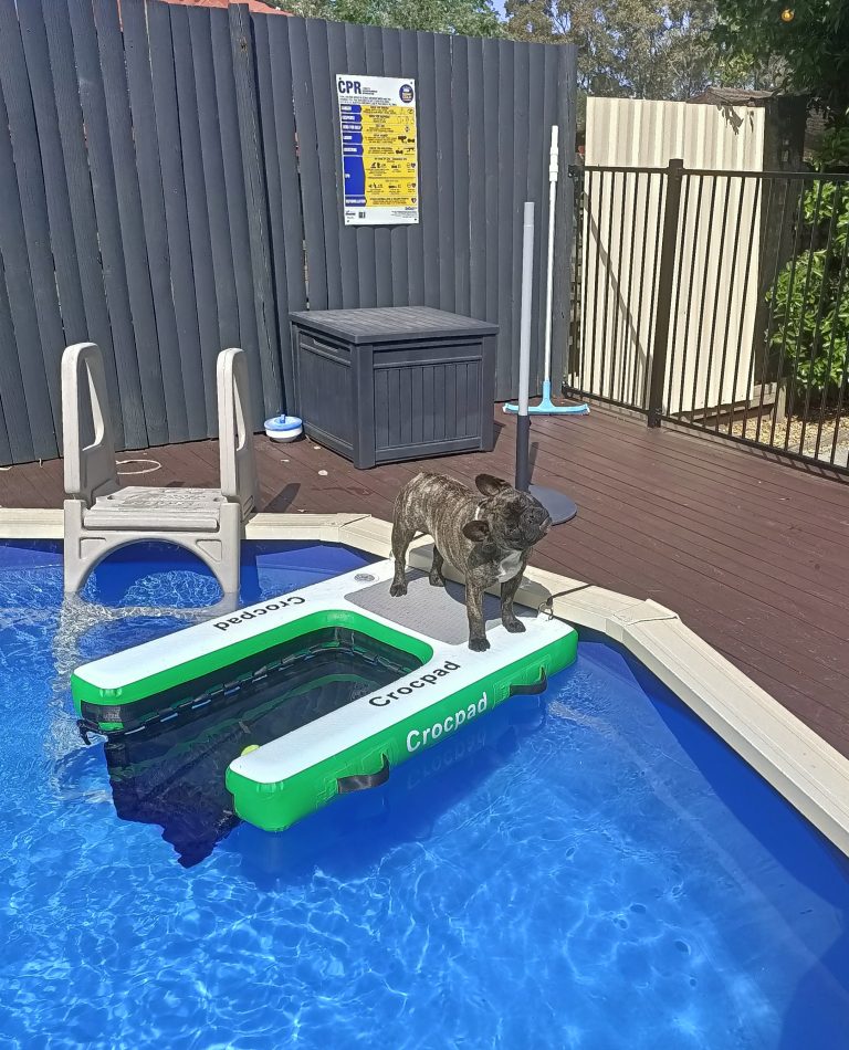 CROCPAD INFLATABLE DOG RAMP FOR BOATS POOLS AND DOCKS Crocpad